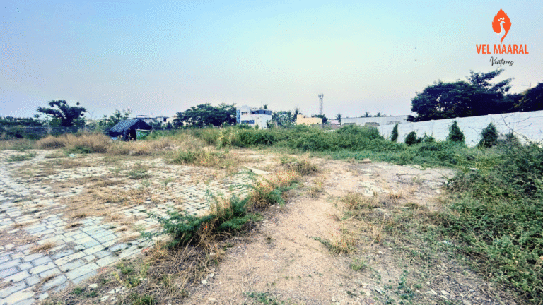 Vacant Land ECR 01