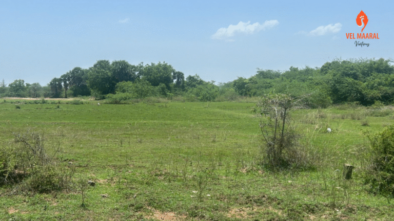 37 acres Vacant Land